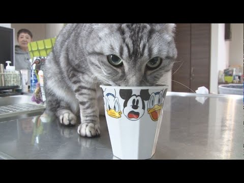 「水」が大好き！