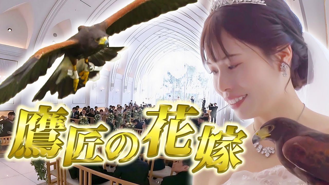 【結婚式でタカが舞う】女性鷹匠のサプライズに密着