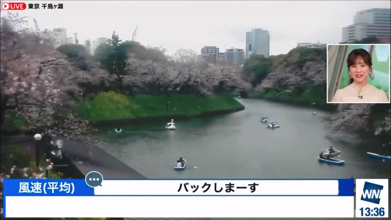 【松雪彩花(あやち)】🌈🎀🍙🍓🌰天カメ📷で幕張周辺の様子を見ながらproで気温と体感と千鳥ヶ淵の様子を見ながら語る✨