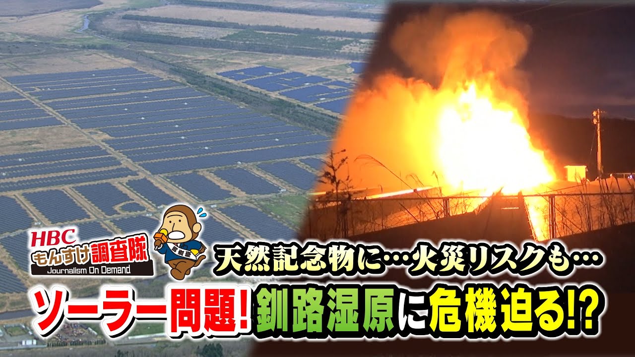 【再エネ割賦金 増額】釧路湿原に危機迫る！ソーラーパネル が急増！希少生物 への影響、住民との軋轢、火災リスク…湿原の今に迫る！・・・もんすけ調査隊（今日ドキッ！2025年4月4日放送)