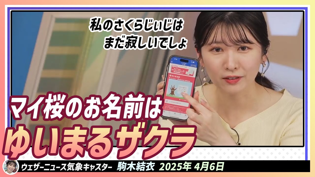 【駒木結衣】 マイ桜のお名前はゆいまるザクラ！マイ桜が今日無事に開花しました！