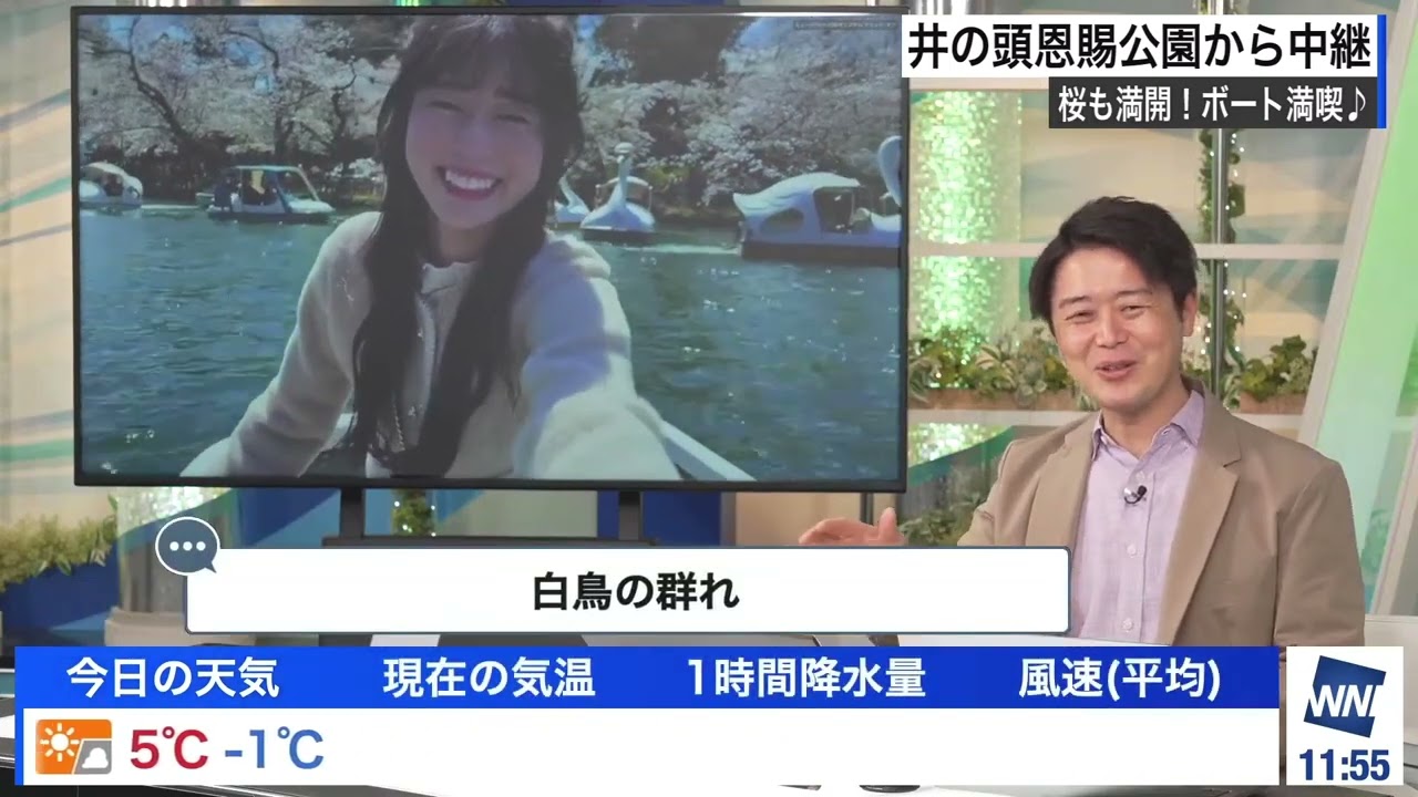 【白井ゆかり】【川畑玲】【青原桃香】井の頭公園ボート中継（250404 ウェザーニュースlive CoffeeTime）