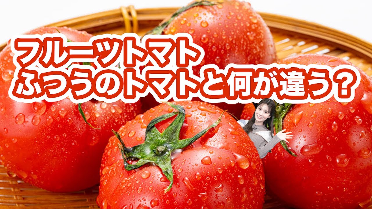 フルーツトマト、ふつうのトマトと何が違う？ #戸北美月 #フルーツトマト