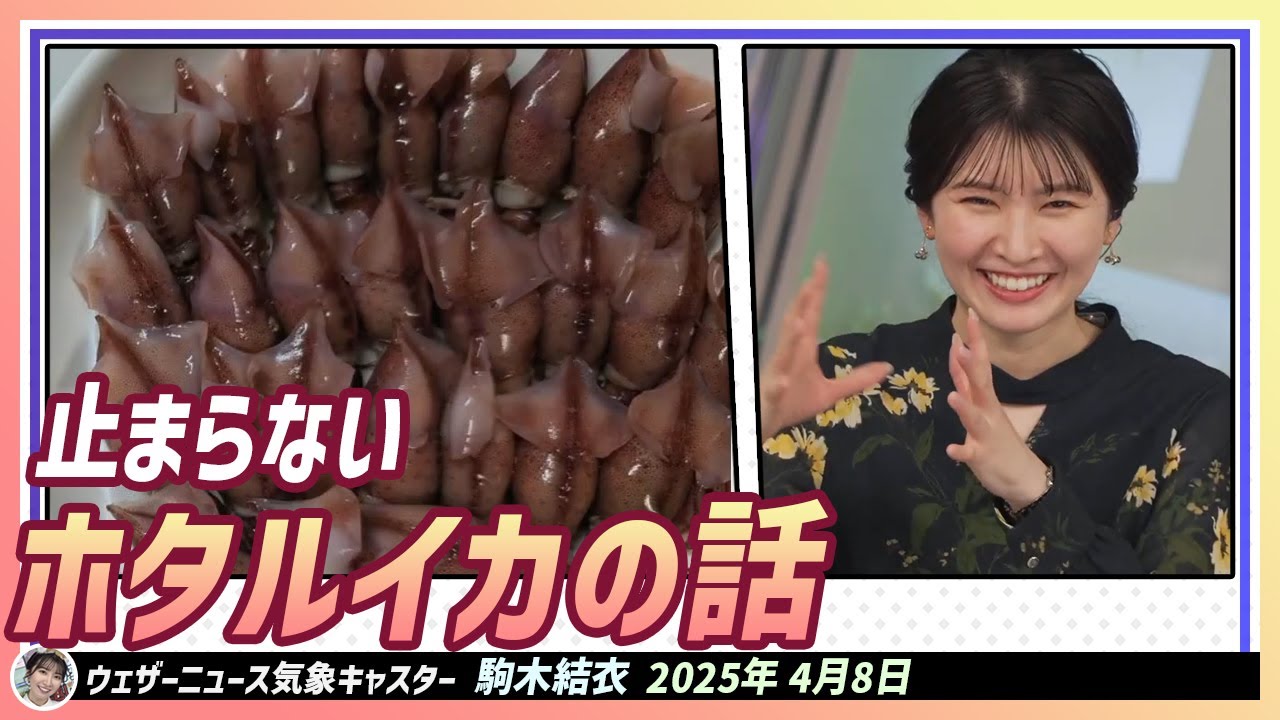 【駒木結衣】 ホタルイカの話が止まらない！ 結衣ちゃんはまた盛り上がりました