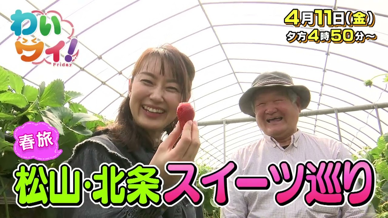 【番宣】春旅！松山・北条スイーツ巡り！旬のいちご狩りにかんきつ農家のパンナコッタも!!2025/04/11（金）午後４時５０分から
