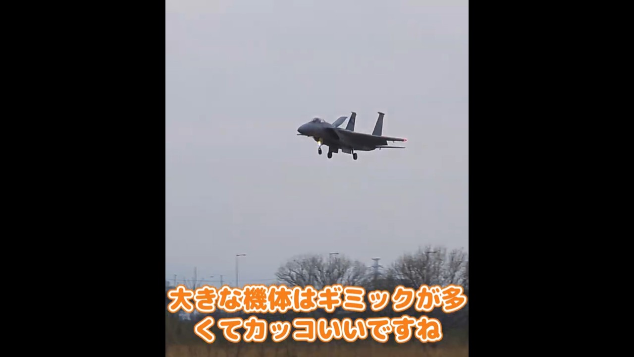 着陸するF-15C イーグル #ラジコン飛行機