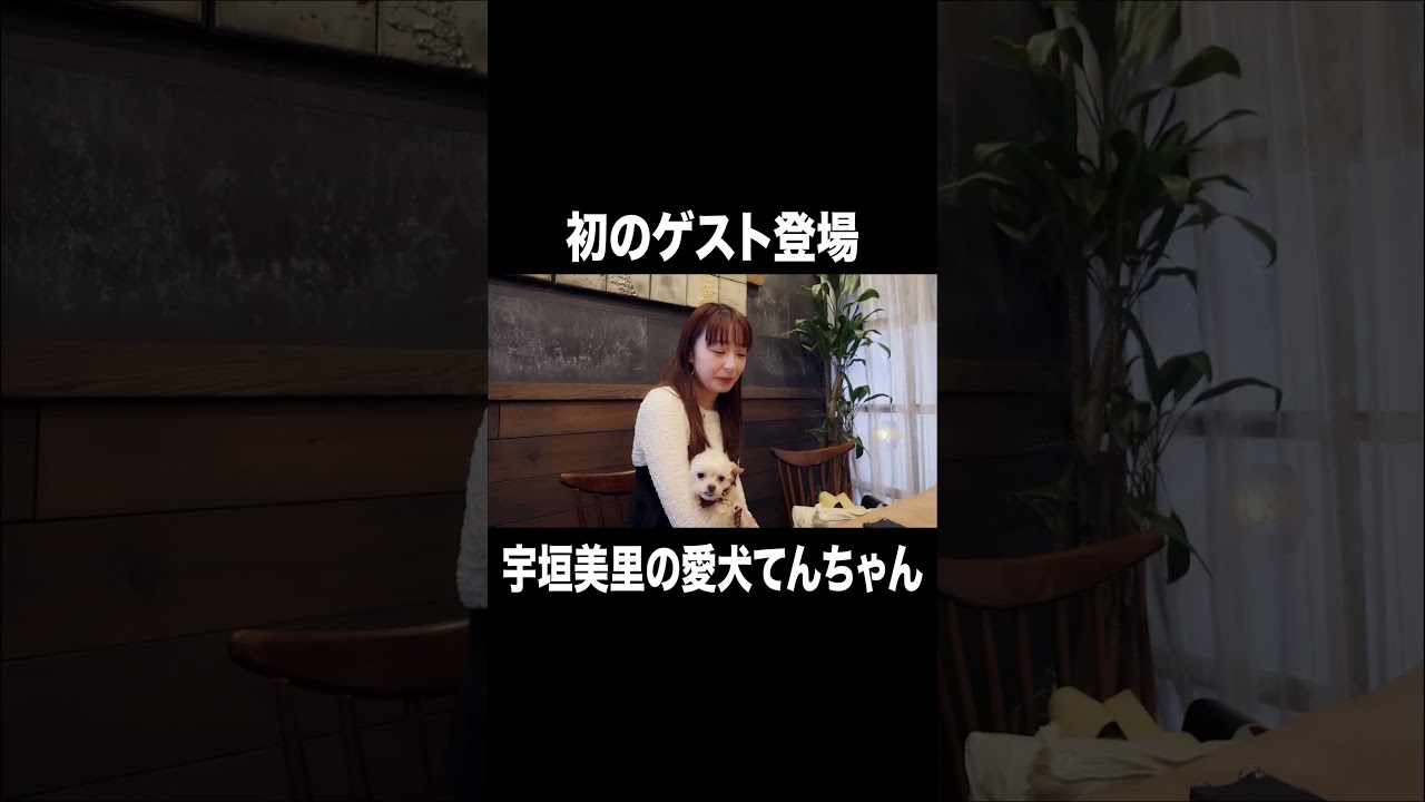 初のゲスト登場 愛犬てんちゃん【宇垣美里YouTube】 #宇垣美里 #アナウンサー #犬