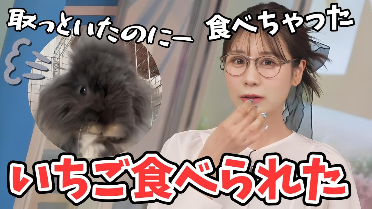 【戸北美月・戸北わたげ】わたげさん取っておいた「あまりん」を食べられてしまう【ウェザーニュース切り抜き】