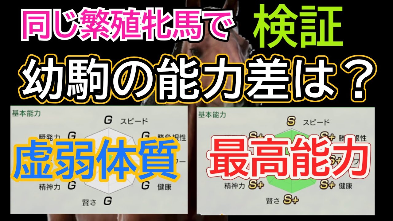 【ウイポ10 2024】繁殖牝馬の能力で生れてくる幼駒に違いはあるのか!?〖サブパラ検証〗初心者でもわかる！＃ウイニングポスト10
