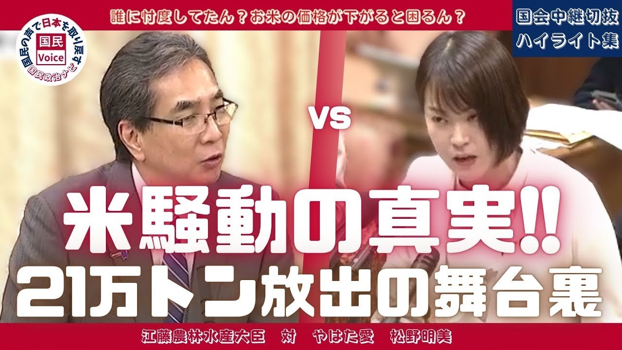 【江藤農林水産大臣】誰に忖度してたん？備蓄米放出を渋っていた驚きの理由が判明!!【国会中継切り抜き】 #国会中継切り抜き #米高騰 #備蓄米 #食糧法 #国会中継 #やはた愛 #松野明美 #米高い