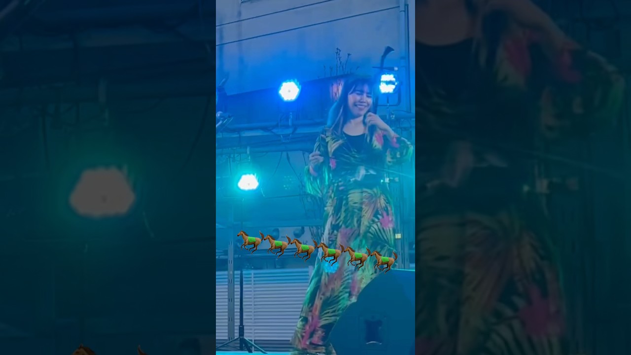 賽馬  Horse Racing 淡路島花みどりフェスティバル  木村ハルヨ 足立知謙 #二胡 #erhu #musiclovers #live
