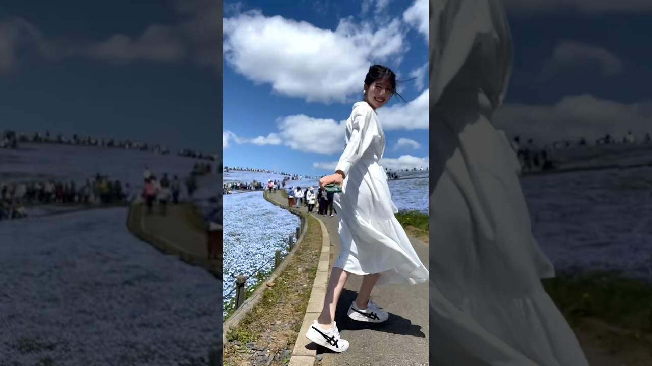 ネモフィラの季節になりました #japan #japantravel #nemophila #通勤タイパ @小林李衣奈｜ウェザーニュース (2024年の思い出)