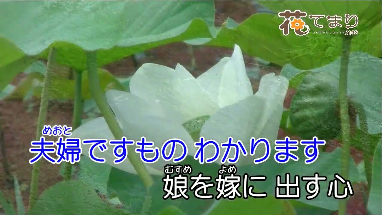 木村好夫　祝いしぐれ　花のステージ