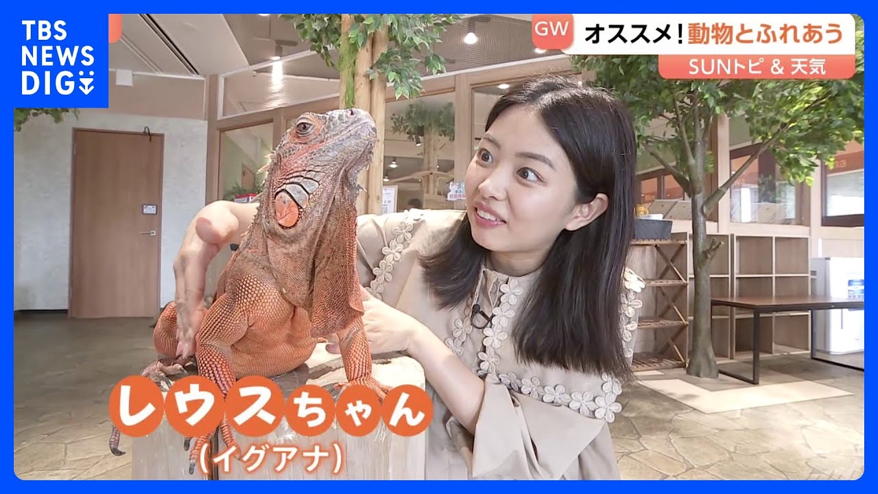 日本初の“昼夜交代制” 東京・お台場の「動物たちが暮らす森」とは？【SUNトピ】｜TBS NEWS DIG