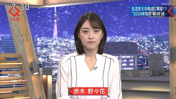【画像】今日の赤木野々花さん 4.7