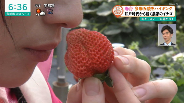 【画像】今日の安藤結衣さん　4.4