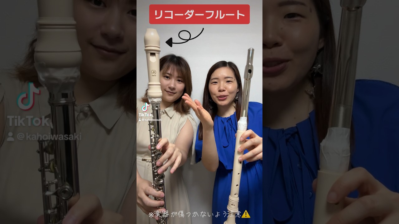 【検証】フルートとリコーダーを合体すると…？！ #フルート #リコーダー #吹奏楽