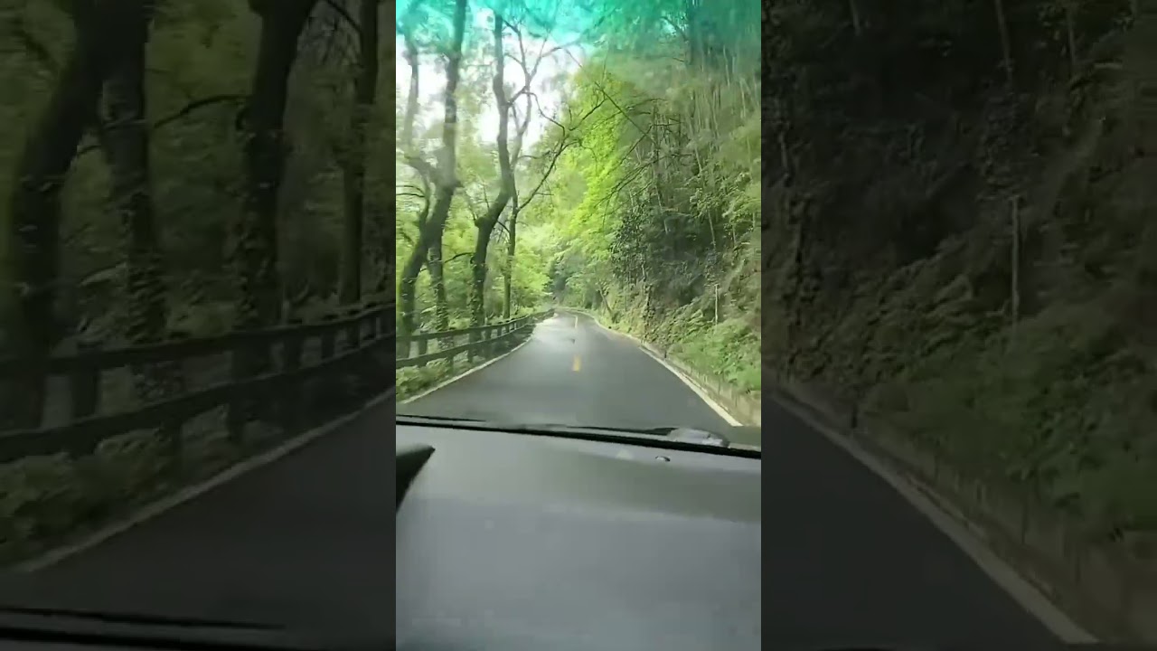 愛青山   愛绿水   愛蓝蓝的天。