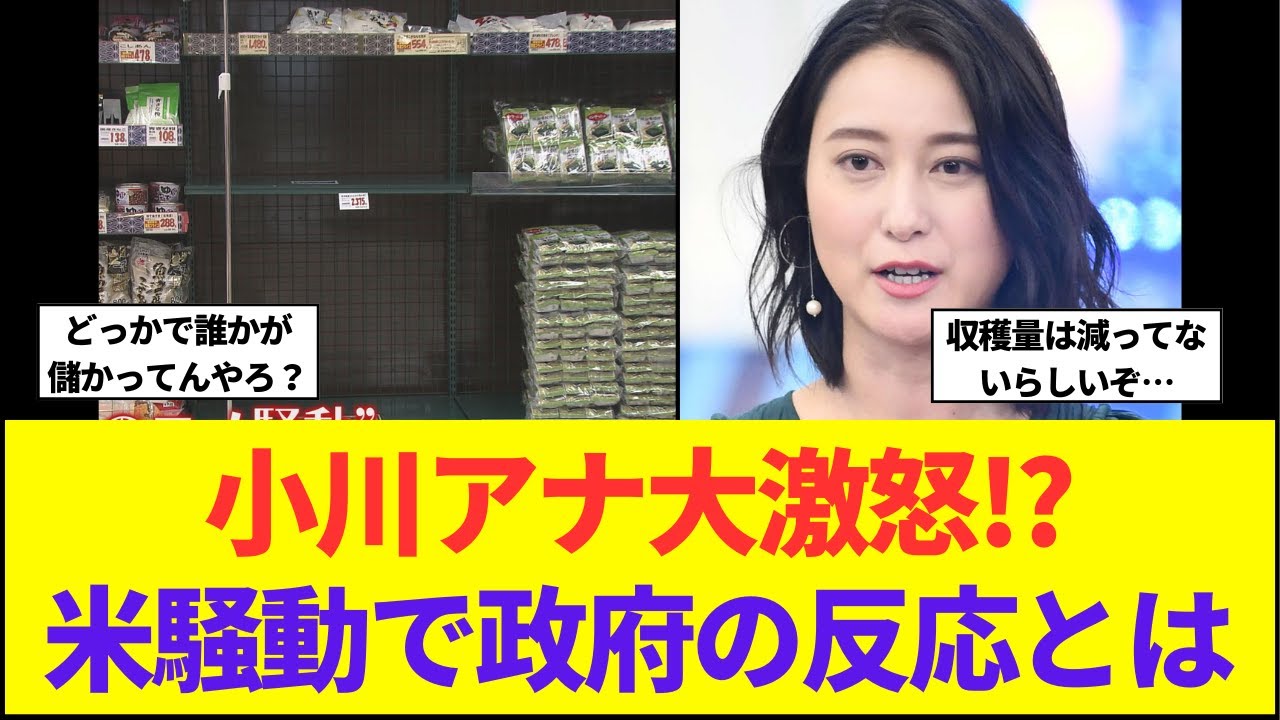 news23生放送中に小川彩佳アナが大激怒！？コメを国民に本気で届けようとしている？令和の米騒動に政府のクズ対策とは！？