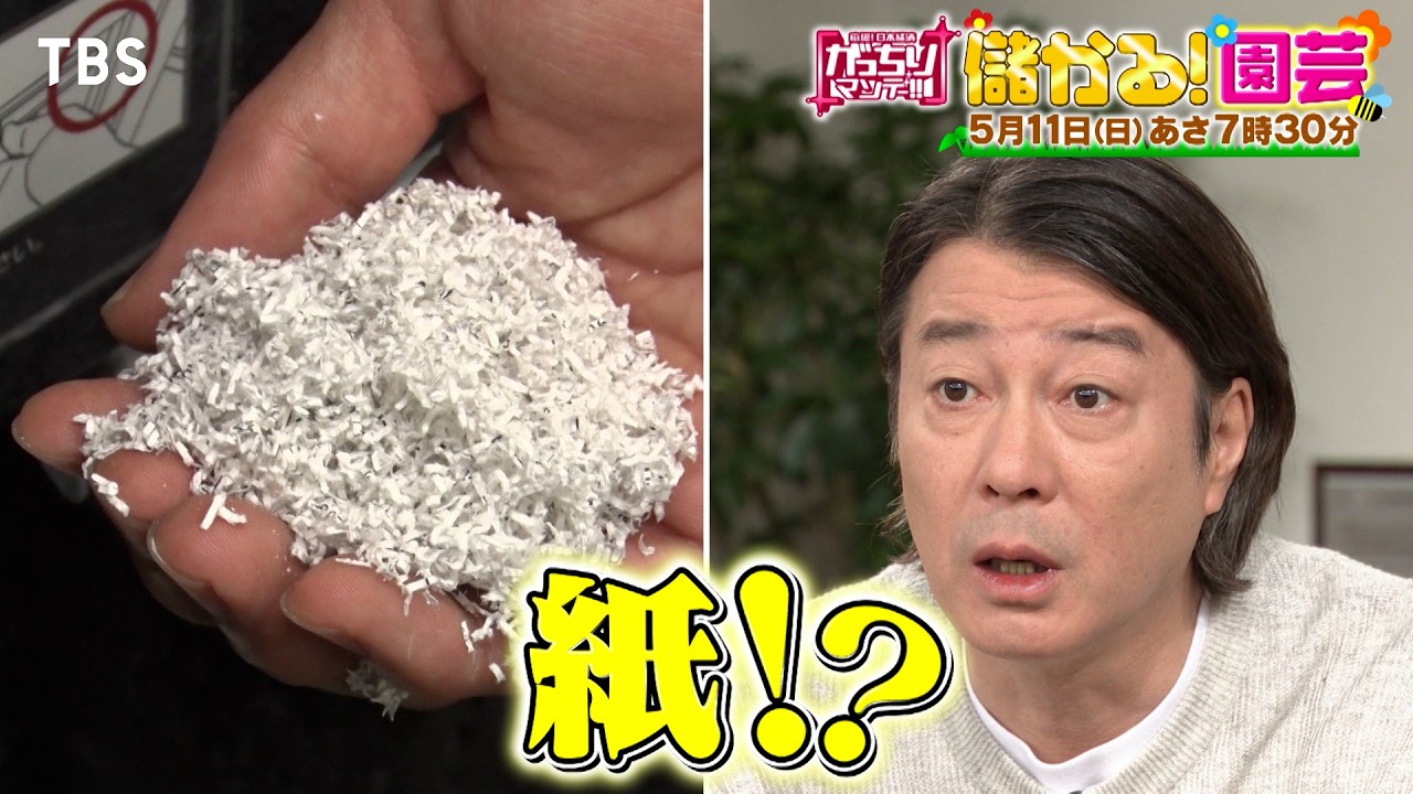 『がっちりマンデー!!』5/11(日) 野菜が大きく育つ土…秘密は紙!? ｢儲かる園芸｣【TBS】