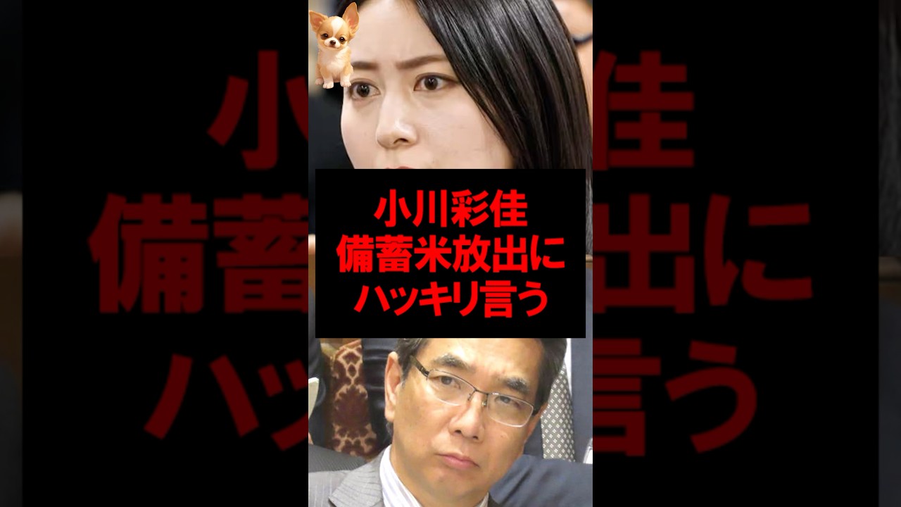 小川彩佳、備蓄米放出にハッキリ言う