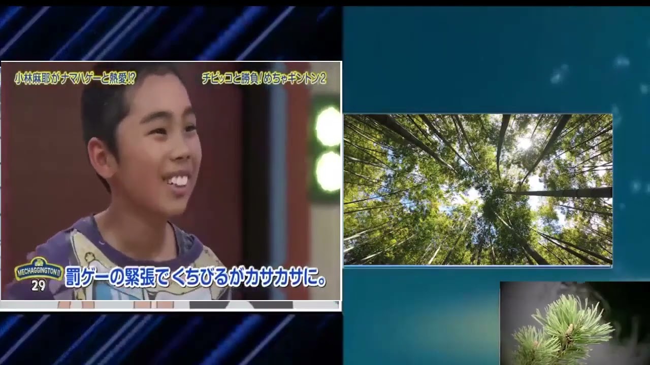 【めちゃ²イケてるッ ! 💖💖ⒽⓄⓉ 2025💖💖】小林麻耶がナマハゲーと熱愛! チビッコと勝負!めちゃキントン2