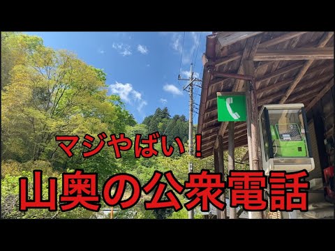 【柴犬飼い主55歳】30年ぶりに公衆電話を使ってみた！