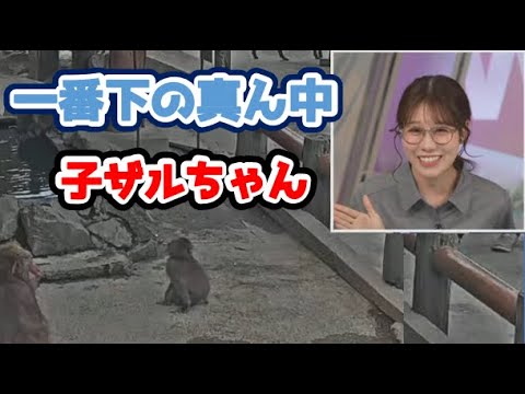 【戸北美月】(🍥´ω｀🍥)っ「一番下の真ん中 子ザルマーク！？ (ツベコメ有り)」