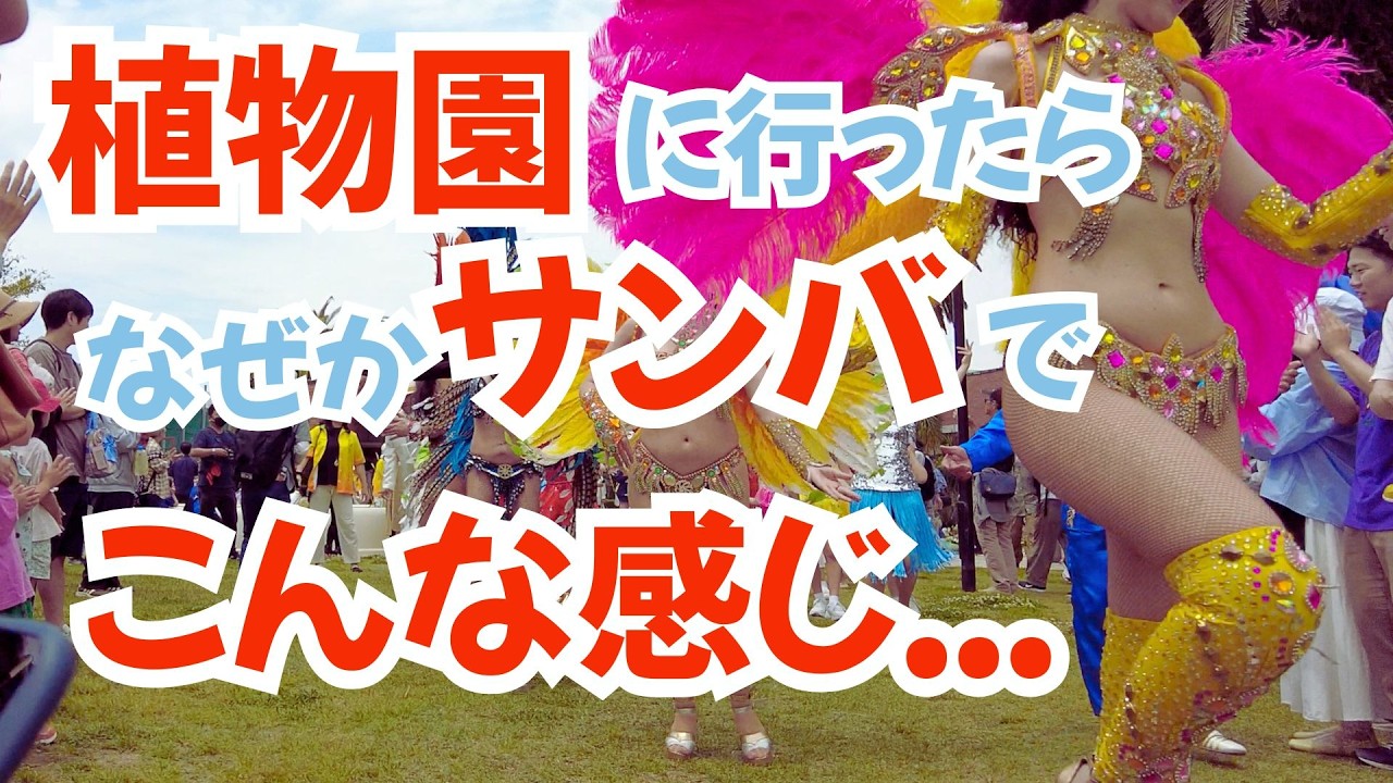 4k「植物園に行ったらサンバやってた…東京夢の島で出会った意外な景色」