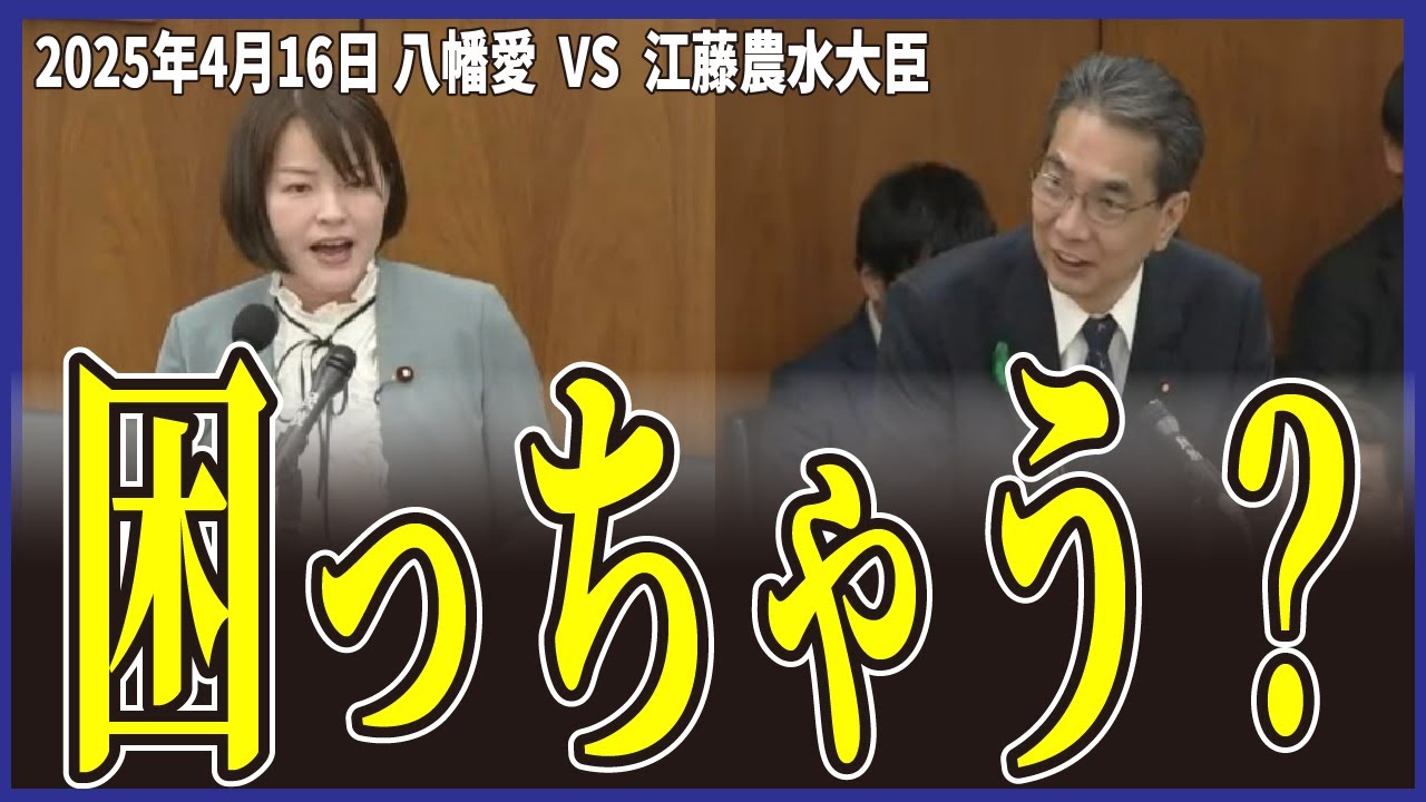 【車のツケに農産物？】食の自給率アップで日本を守れ！【八幡愛/江藤拓】 #政治  #政治家  #国会  #トランプ関税  #備蓄米  #自民党  #れいわ新選組