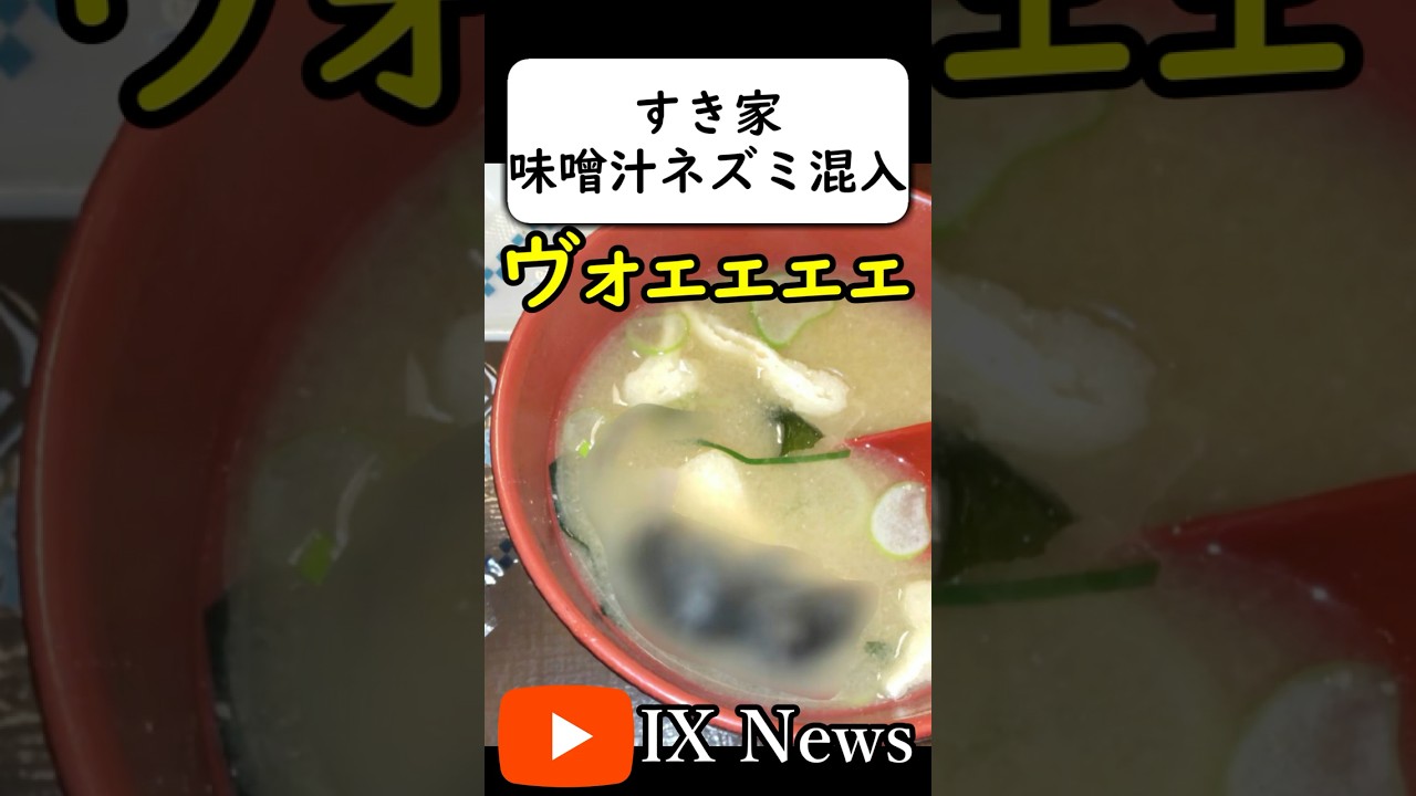 すき家 味噌汁巨大ネズミ混入事件