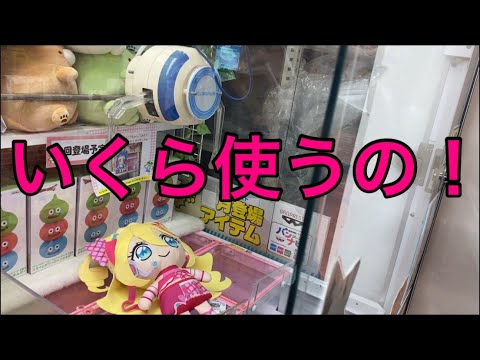 【柴犬飼い主55歳】センスないおじさんに見るにみかね定員さんが動く！