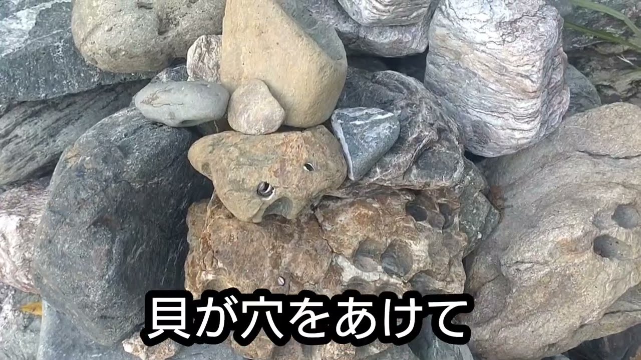 (942)GW特別企画、平和への祈り、伊射波神社からトーチカ跡へ、知られざる海の特攻基地③#加布良古基地#震洋#海の特攻#伊射波神社#トーチカ跡