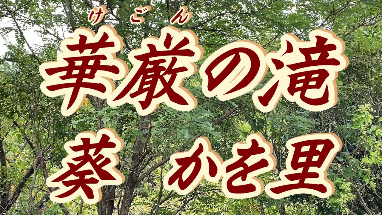 【2025年5月14日発売】華厳の滝/葵かを里(歌詞付き)　　cover    心笑