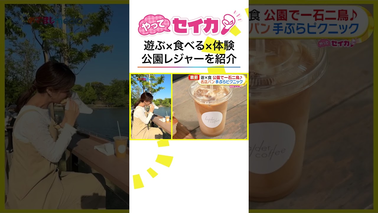 #井上清華 キャスターがピクニック🧺人気ベーカリー&最新カフェも充実の公園を満喫リポート🎶 #やってセイカ！ #めざましテレビ #shorts