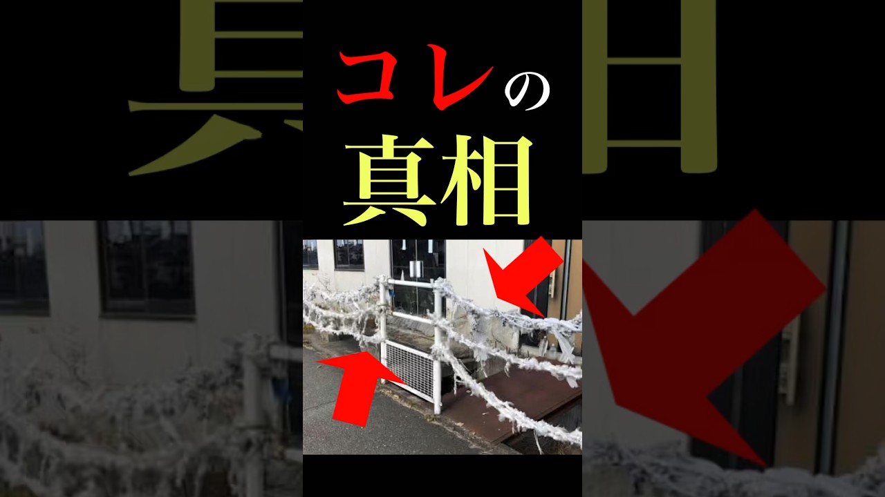 探偵ナイトスクープ打ち切りの真相#shorts