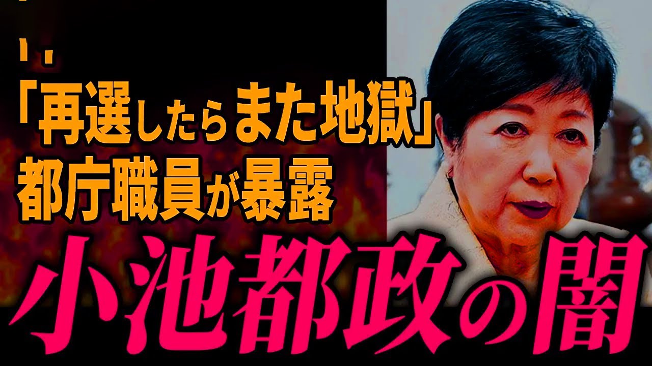 【職員限界】「小池は地獄です」気に入らないことがあればすぐ左遷実行。都庁職員が暴露【石丸伸二 / 小池百合子 / 東京都知事選】【 石丸市長 / 安芸高田市】