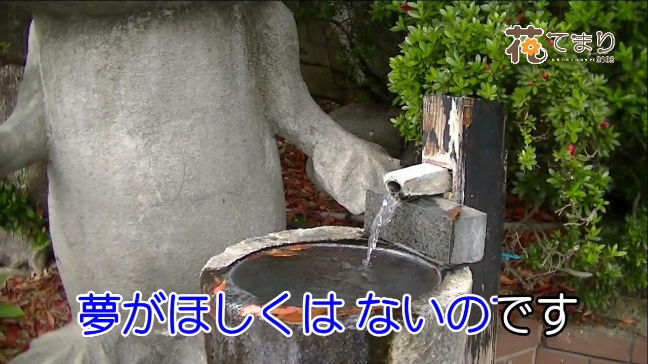 木村好夫　ふたりづれ　花のステージ707－376