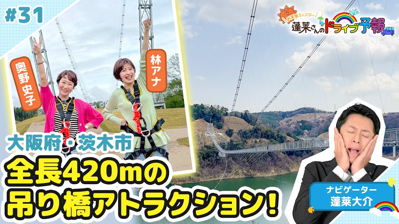 【蓬莱さんのドライブ予報＃３1】大阪・茨木市に全長420mの吊り橋！