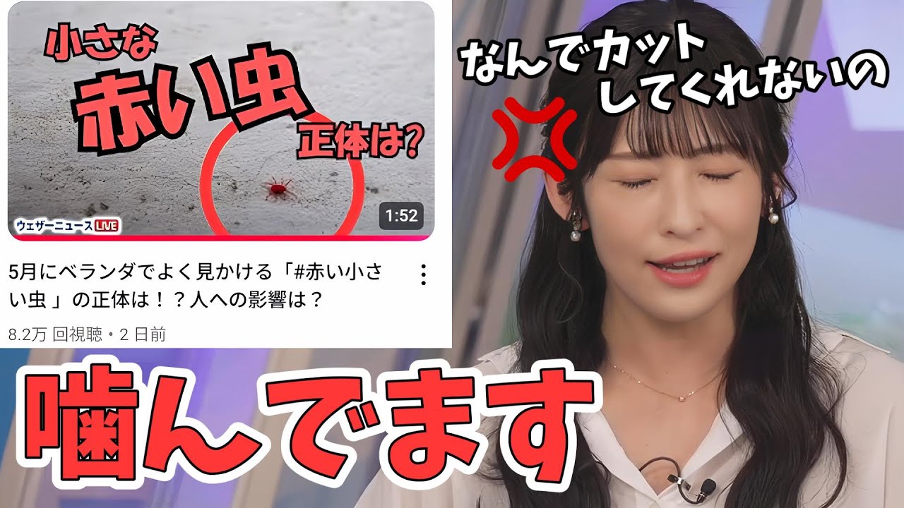 【山岸愛梨】毎年高再生数のタカラダニ動画！噛んだ部分をカットされなく愚痴るあいりん【ウェザーニュース切り抜き】