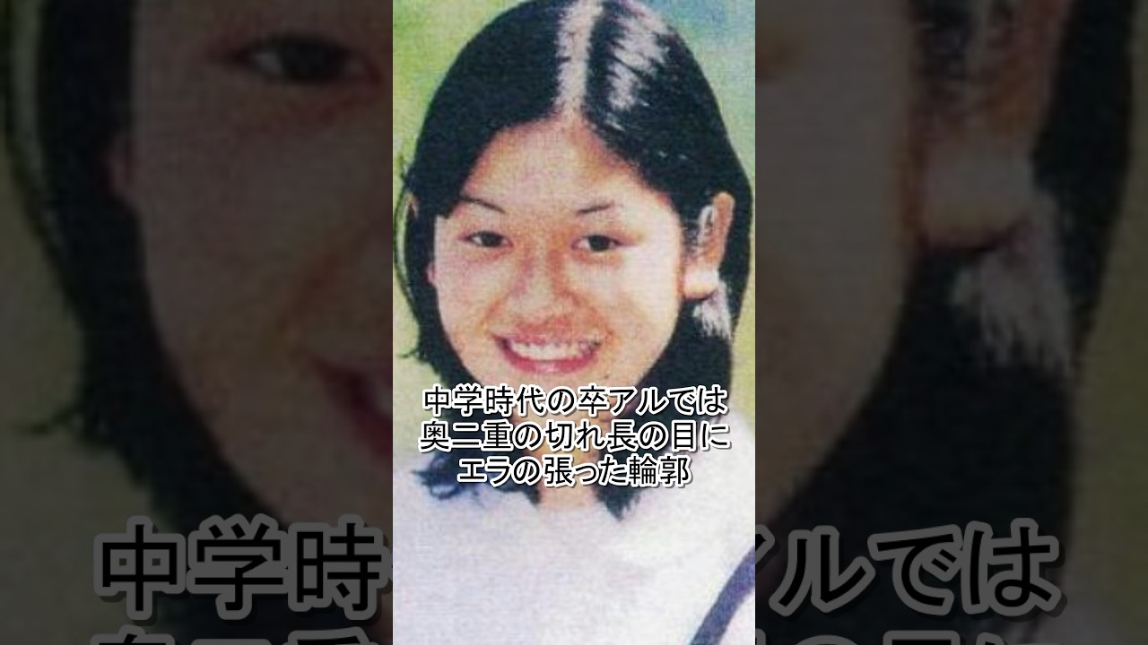 卒アルが違いすぎて整形を疑われた芸能人#菜々緒#真木よう子 #板野友美