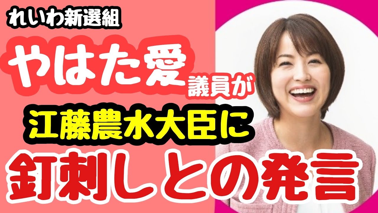 れいわ新選組【やはた愛議員が江藤農水大臣に語ったエールの本音】