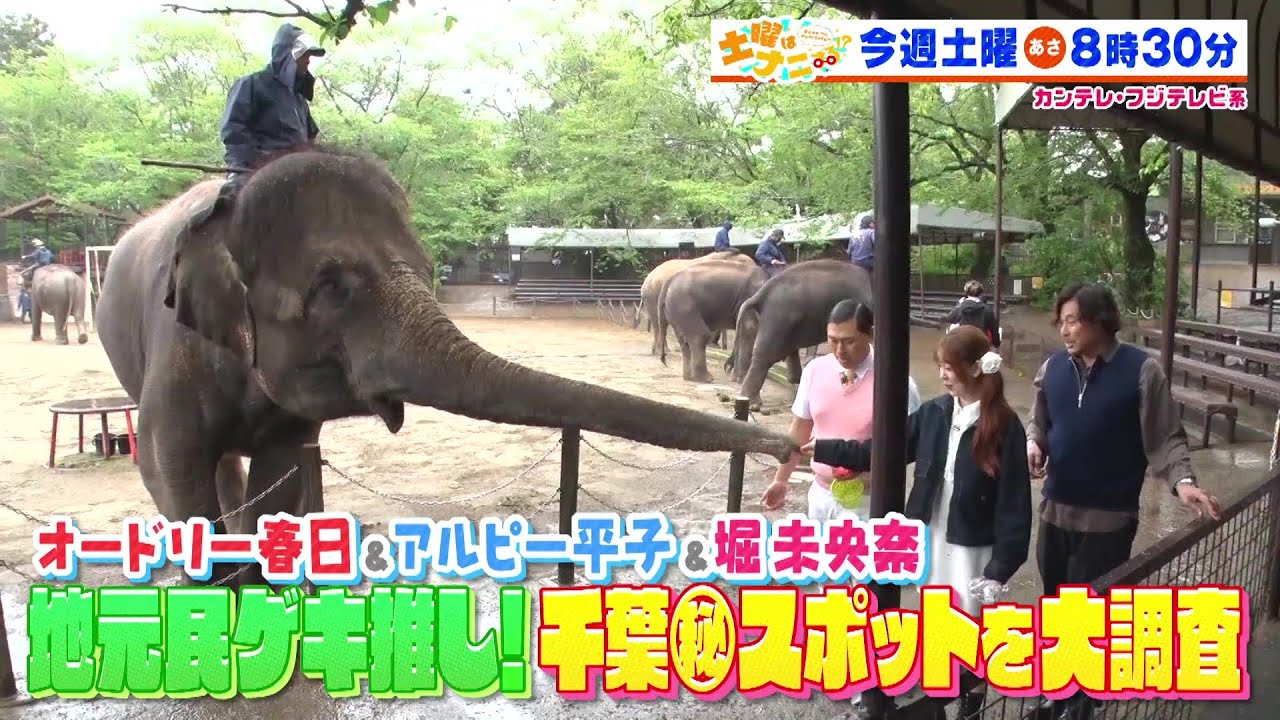 土曜はナニする！？5/17（土）放送【オードリー・春日＆アルピー・平子＆堀未央奈が千葉マル秘スポットを大調査！】