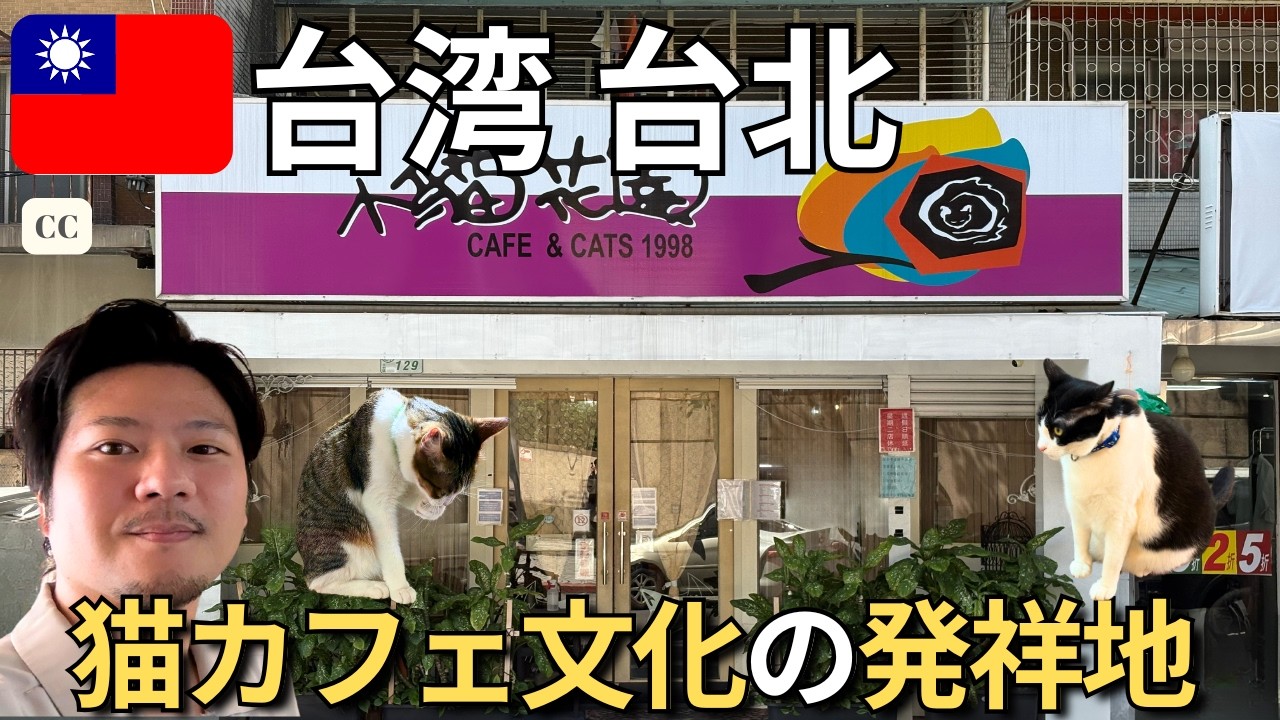 台湾ギネス認定の世界初の猫カフェへ🇹🇼🐈 そのルーツを知り猫に癒やされ感動した【小猫花園】