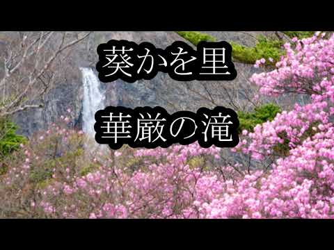 葵かを里　華厳の滝　カラオケ