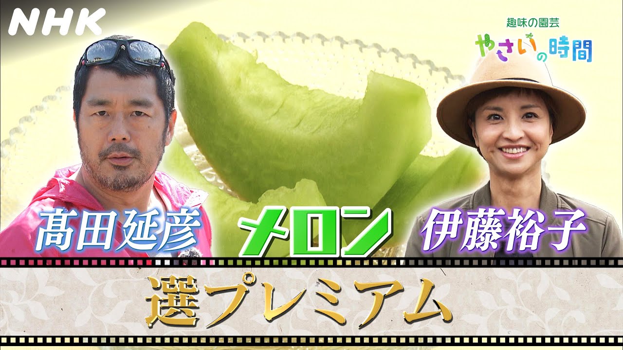 [やさいの時間]【5/25(日)放送】選プレミアム映像！高田延彦、伊藤裕子がメロン栽培に挑戦！| NHK