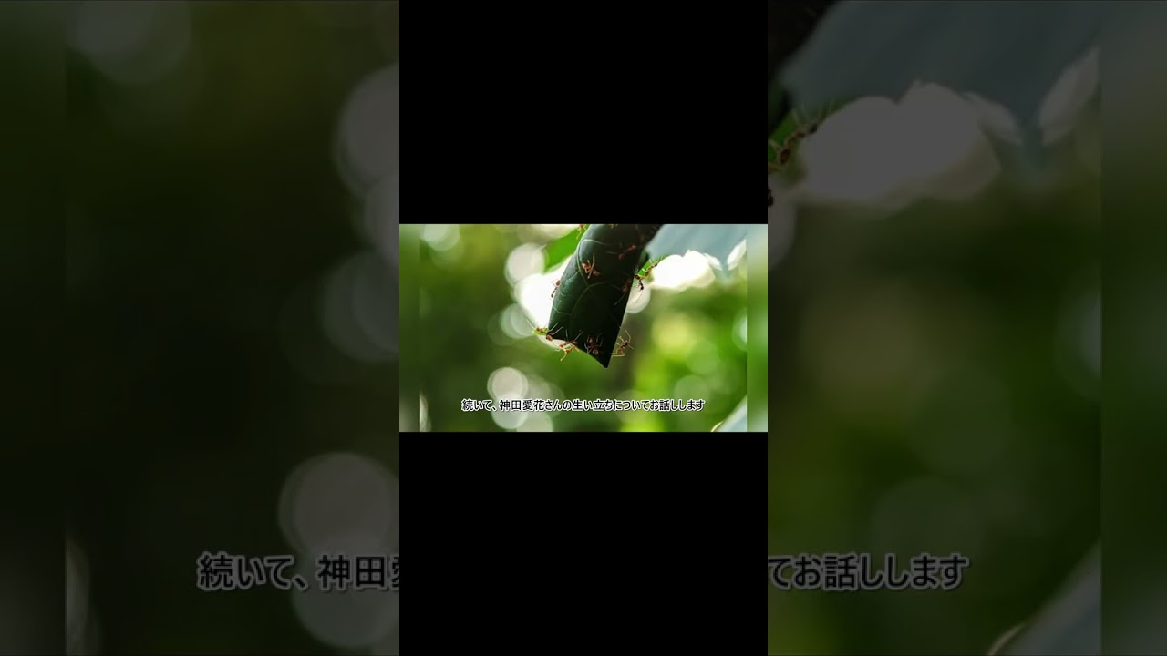 神田愛花の学歴と実家の真実！父親母親の知られざる素顔に迫る #shorts