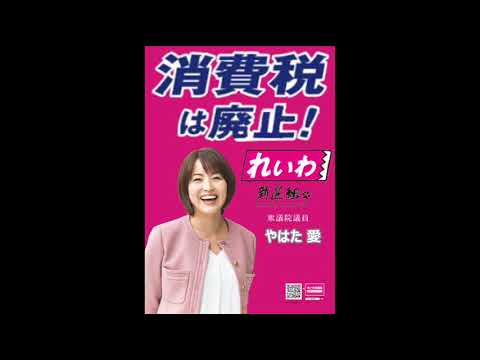 ＮＨＫ日曜討論　2025年5月18日　れいわ新選組　やはた愛