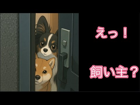 【柴犬飼い主55歳】えっ！？今日帰ってこないの？