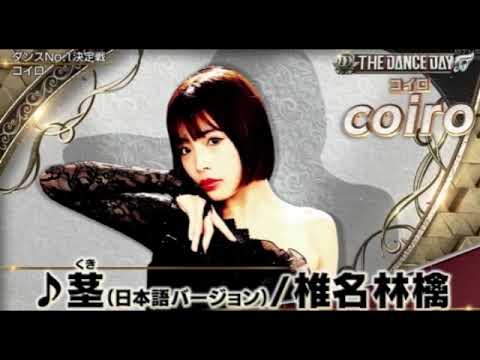 【THE DANCE DAY2025】コイロ「茎/椎名林檎」フル ダンスNo.1決定戦ザダンスデイ2025年5月20日 LIVE FULL